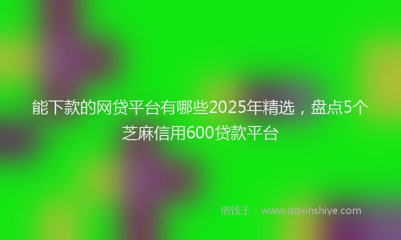 能下款的网贷平台有哪些2025年精选，盘点5个芝麻信用600贷款平台