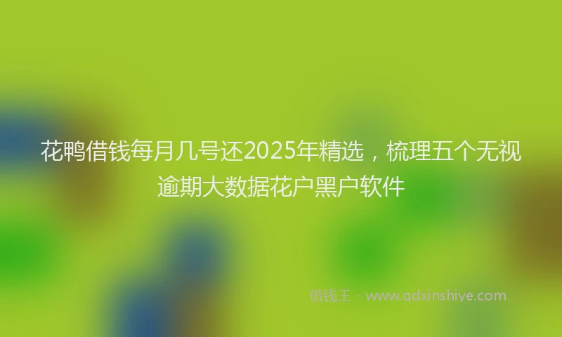 花鸭借钱每月几号还2025年精选，梳理五个无视逾期大数据花户黑户软件