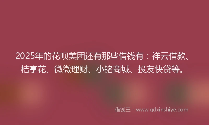 2025年的花呗美团还有那些借钱有：祥云借款、桔享花、微微理财、小铭商城、投友快贷等。