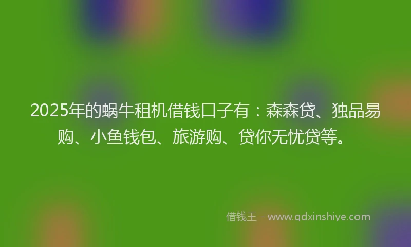 2025年的蜗牛租机借钱口子有：森森贷、独品易购、小鱼钱包、旅游购、贷你无忧贷等。