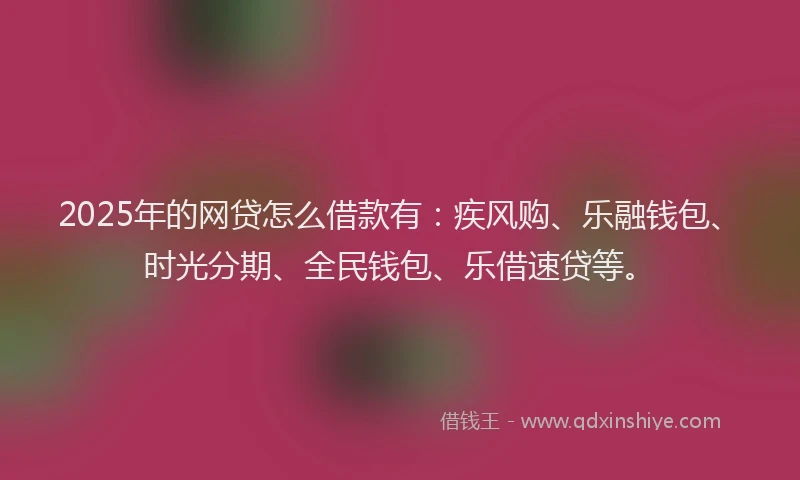 2025年的网贷怎么借款有：疾风购、乐融钱包、时光分期、全民钱包、乐借速贷等。