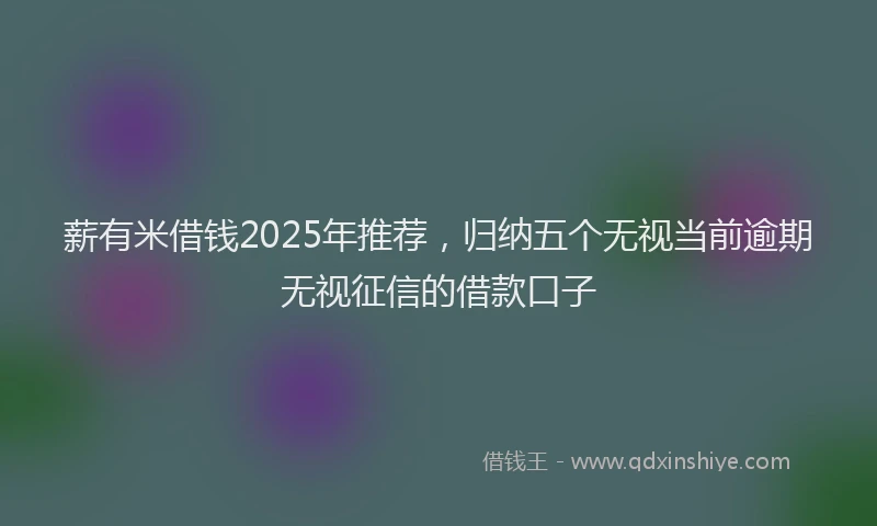 薪有米借钱2025年推荐，归纳五个无视当前逾期无视征信的借款口子