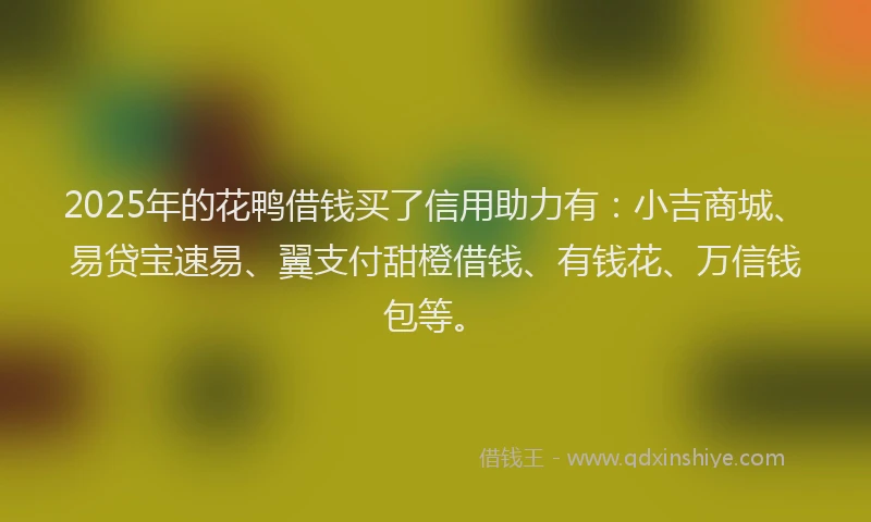 2025年的花鸭借钱买了信用助力有：小吉商城、易贷宝速易、翼支付甜橙借钱、有钱花、万信钱包等。