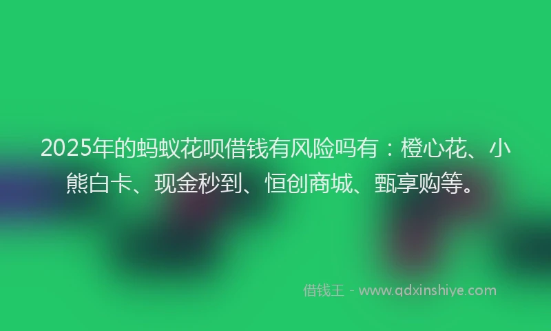 2025年的蚂蚁花呗借钱有风险吗有：橙心花、小熊白卡、现金秒到、恒创商城、甄享购等。