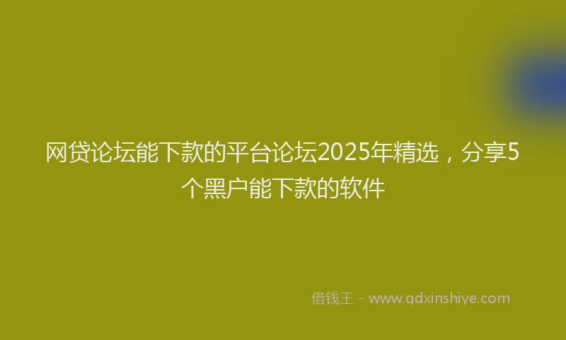 网贷论坛能下款的平台论坛2025年精选，分享5个黑户能下款的软件