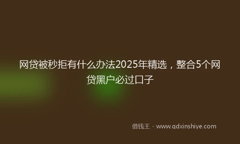 网贷被秒拒有什么办法2025年精选，整合5个网贷黑户必过口子