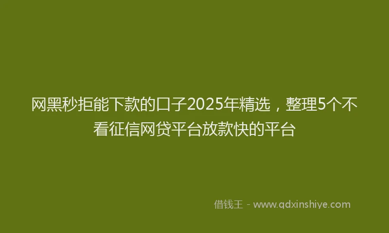 网黑秒拒能下款的口子2025年精选，整理5个不看征信网贷平台放款快的平台