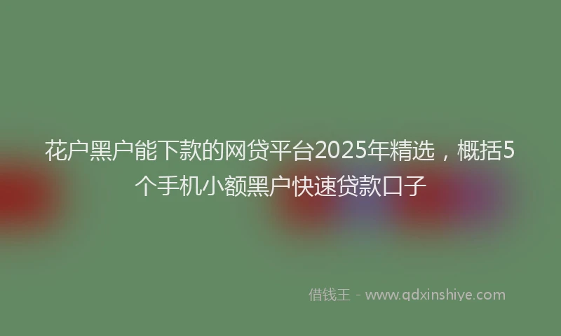 花户黑户能下款的网贷平台2025年精选，概括5个手机小额黑户快速贷款口子