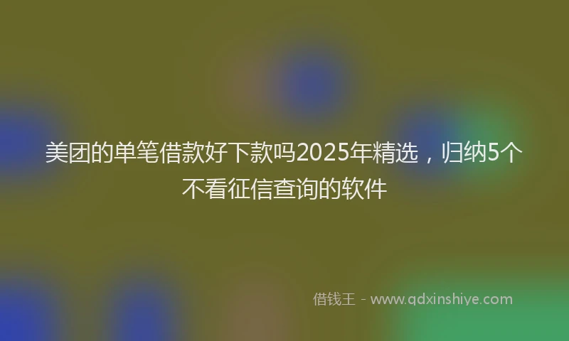 美团的单笔借款好下款吗2025年精选，归纳5个不看征信查询的软件