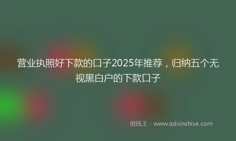 营业执照好下款的口子2025年推荐，归纳五个无视黑白户的下款口子