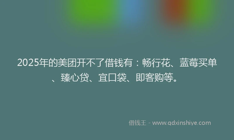 2025年的美团开不了借钱有：畅行花、蓝莓买单、臻心贷、宜口袋、即客购等。