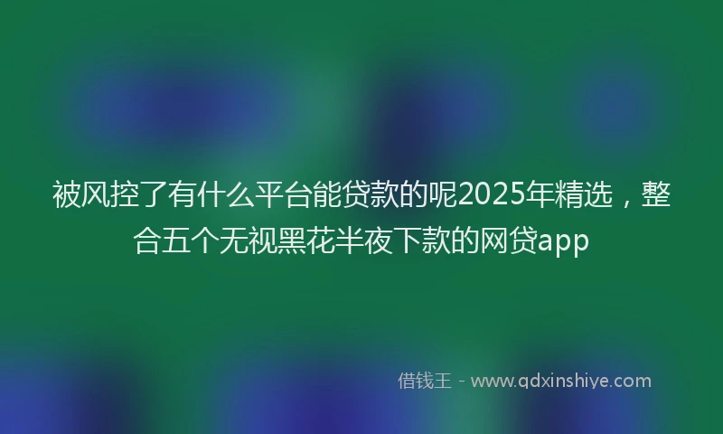 被风控了有什么平台能贷款的呢2025年精选，整合五个无视黑花半夜下款的网贷app