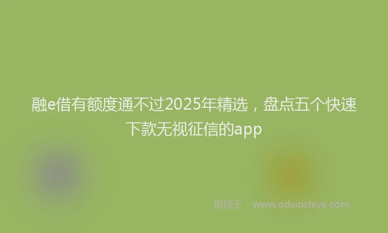 融e借有额度通不过2025年精选，盘点五个快速下款无视征信的app