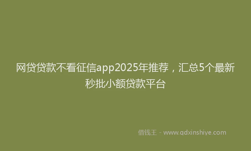 网贷贷款不看征信app2025年推荐，汇总5个最新秒批小额贷款平台