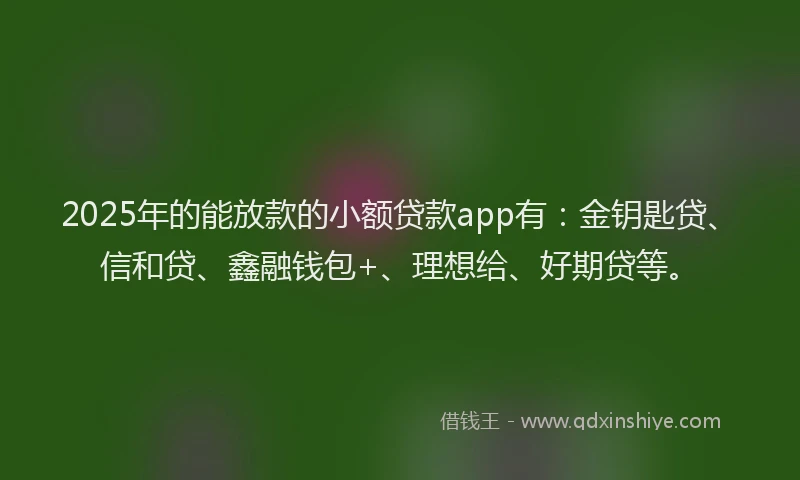 2025年的能放款的小额贷款app有：金钥匙贷、信和贷、鑫融钱包+、理想给、好期贷等。