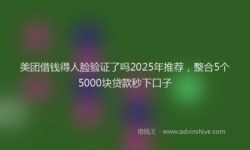 美团借钱得人脸验证了吗2025年推荐，整合5个5000块贷款秒下口子