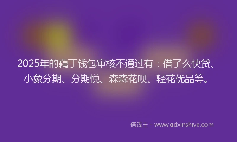2025年的藕丁钱包审核不通过有：借了么快贷、小象分期、分期悦、森森花呗、轻花优品等。