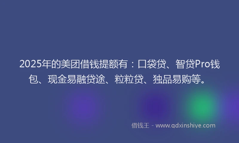 2025年的美团借钱提额有：口袋贷、智贷Pro钱包、现金易融贷途、粒粒贷、独品易购等。
