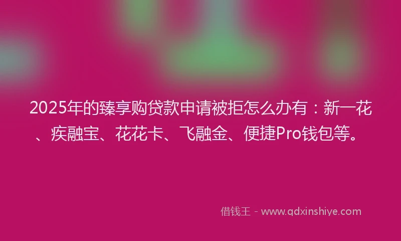 2025年的臻享购贷款申请被拒怎么办有：新一花、疾融宝、花花卡、飞融金、便捷Pro钱包等。
