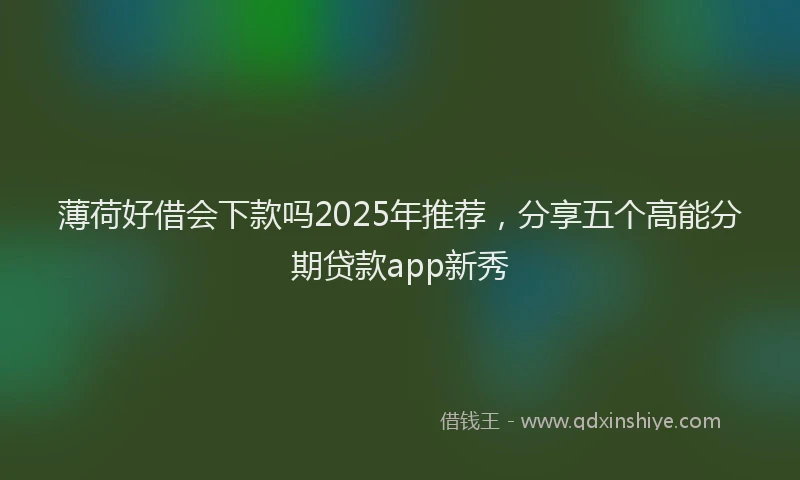 薄荷好借会下款吗2025年推荐，分享五个高能分期贷款app新秀