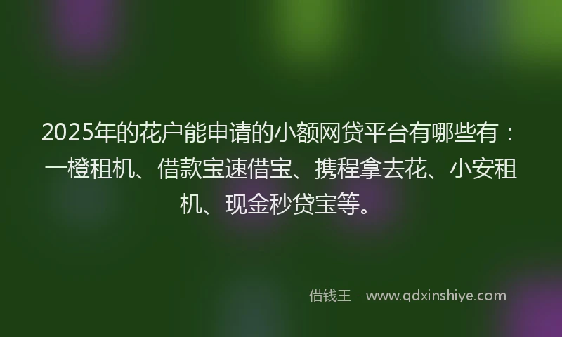 2025年的花户能申请的小额网贷平台有哪些有：一橙租机、借款宝速借宝、携程拿去花、小安租机、现金秒贷宝等。