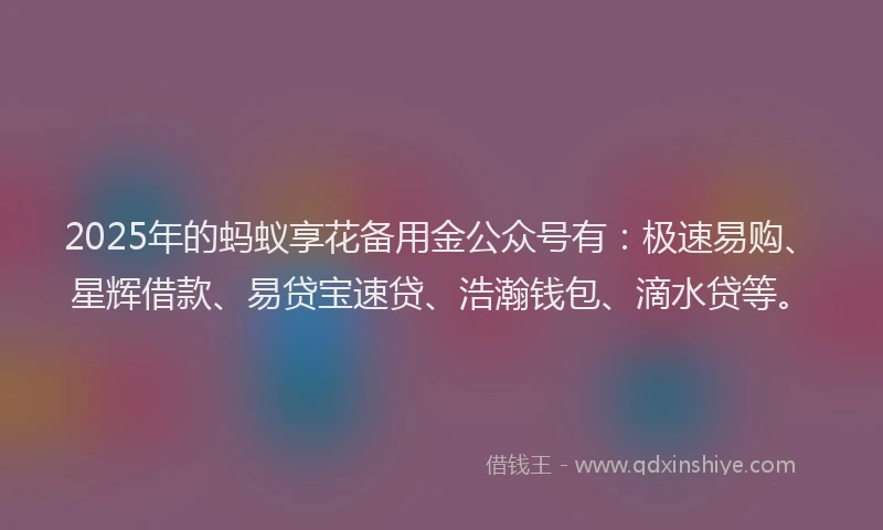 2025年的蚂蚁享花备用金公众号有：极速易购、星辉借款、易贷宝速贷、浩瀚钱包、滴水贷等。