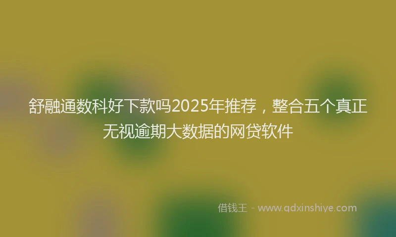 舒融通数科好下款吗2025年推荐，整合五个真正无视逾期大数据的网贷软件