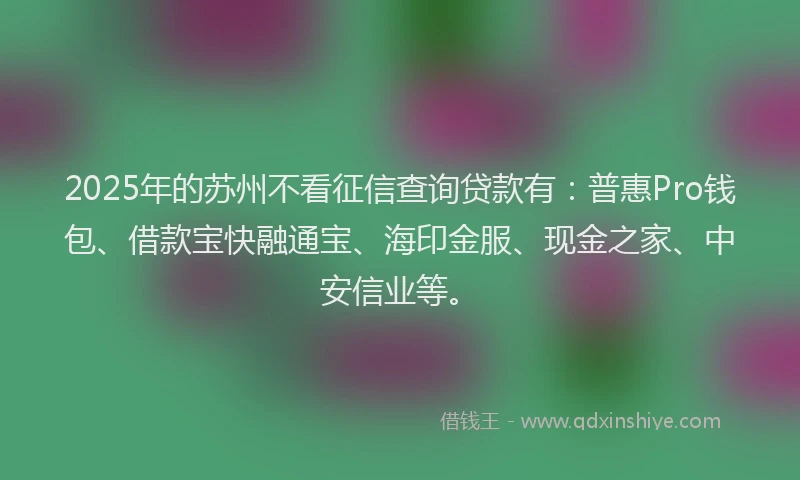 2025年的苏州不看征信查询贷款有：普惠Pro钱包、借款宝快融通宝、海印金服、现金之家、中安信业等。