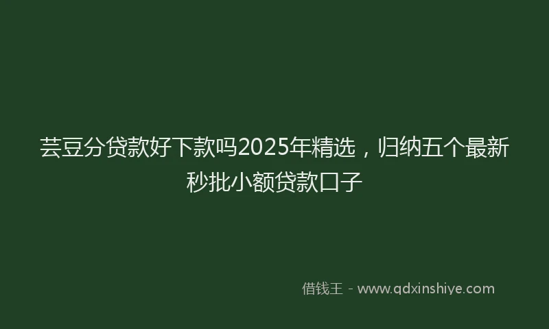 芸豆分贷款好下款吗2025年精选，归纳五个最新秒批小额贷款口子