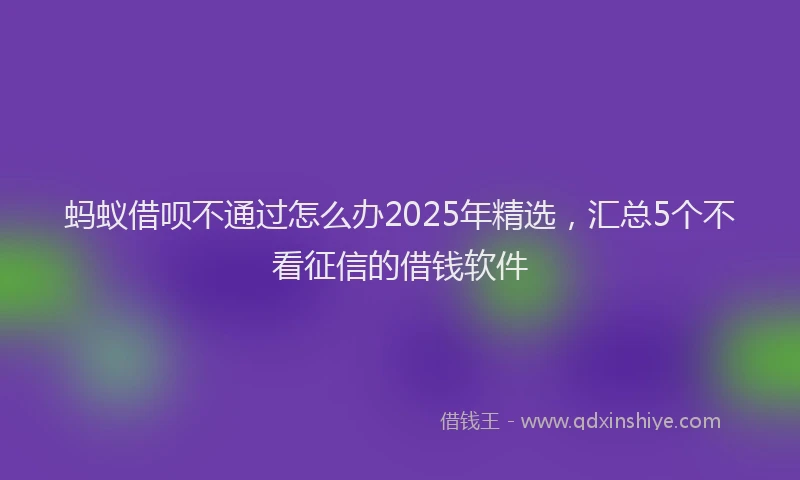 蚂蚁借呗不通过怎么办2025年精选，汇总5个不看征信的借钱软件