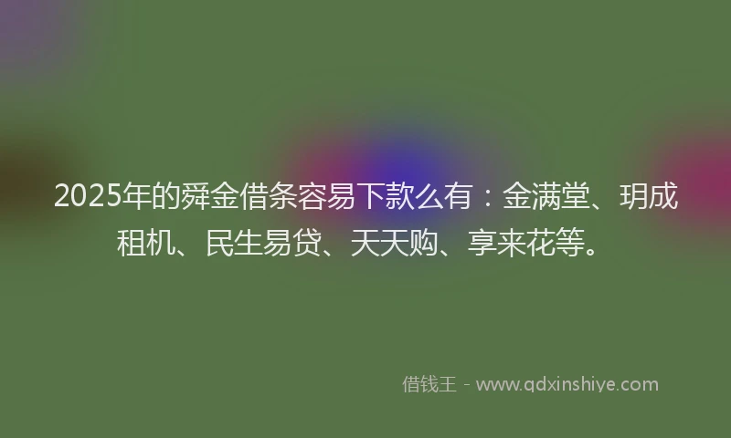2025年的舜金借条容易下款么有：金满堂、玥成租机、民生易贷、天天购、享来花等。