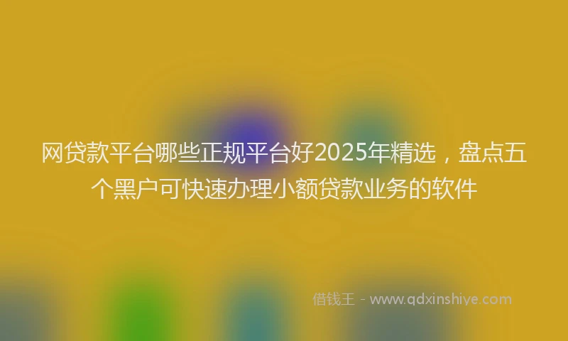 网贷款平台哪些正规平台好2025年精选，盘点五个黑户可快速办理小额贷款业务的软件