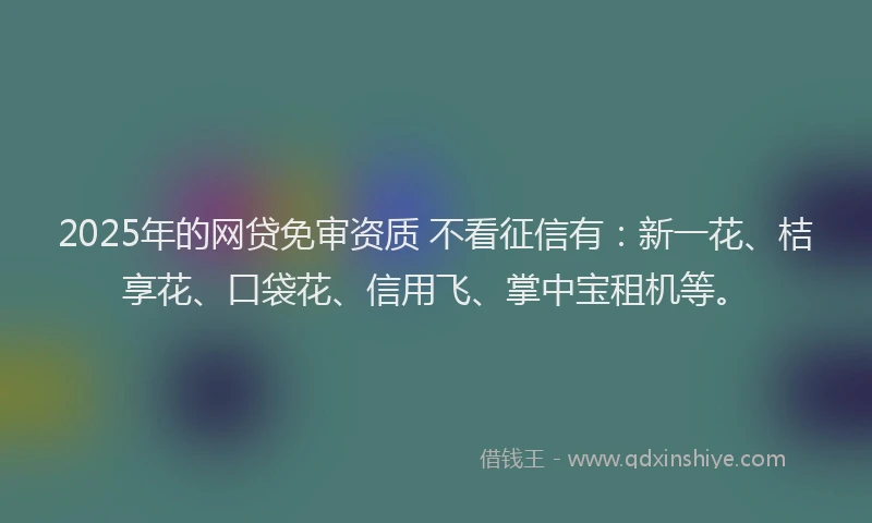 2025年的网贷免审资质 不看征信有：新一花、桔享花、口袋花、信用飞、掌中宝租机等。