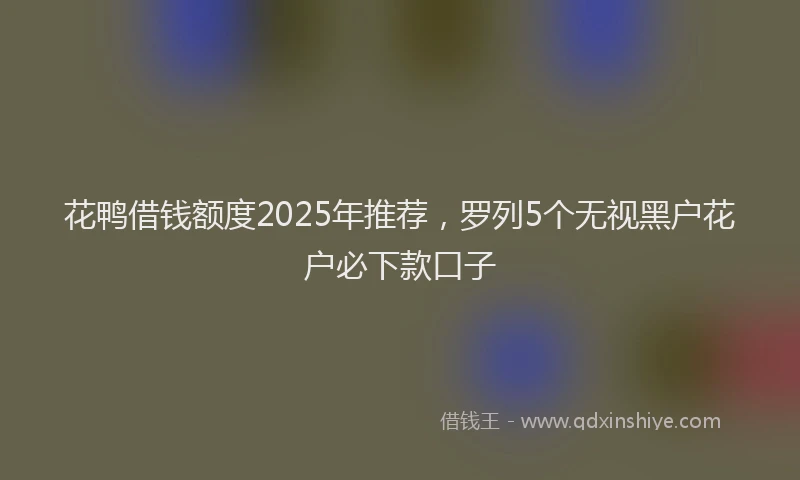 花鸭借钱额度2025年推荐，罗列5个无视黑户花户必下款口子