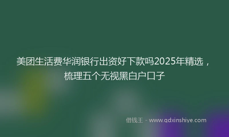 美团生活费华润银行出资好下款吗2025年精选，梳理五个无视黑白户口子