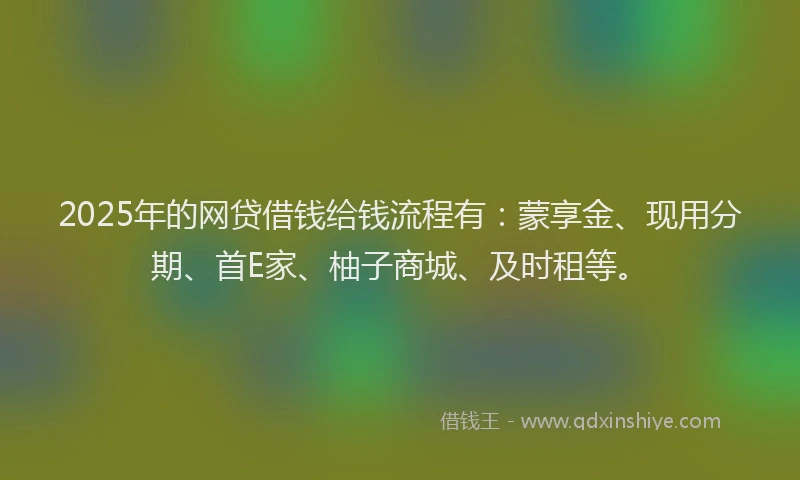 2025年的网贷借钱给钱流程有：蒙享金、现用分期、首E家、柚子商城、及时租等。