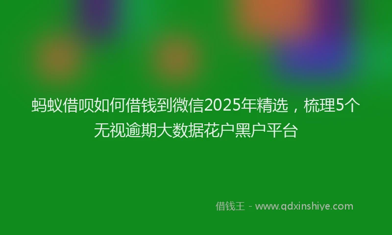蚂蚁借呗如何借钱到微信2025年精选，梳理5个无视逾期大数据花户黑户平台