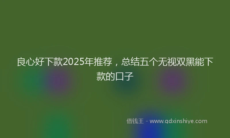 良心好下款2025年推荐，总结五个无视双黑能下款的口子