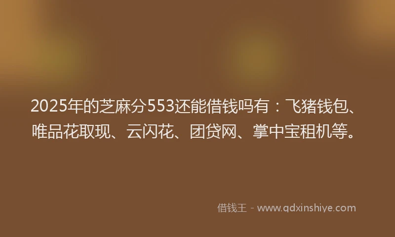 2025年的芝麻分553还能借钱吗有：飞猪钱包、唯品花取现、云闪花、团贷网、掌中宝租机等。