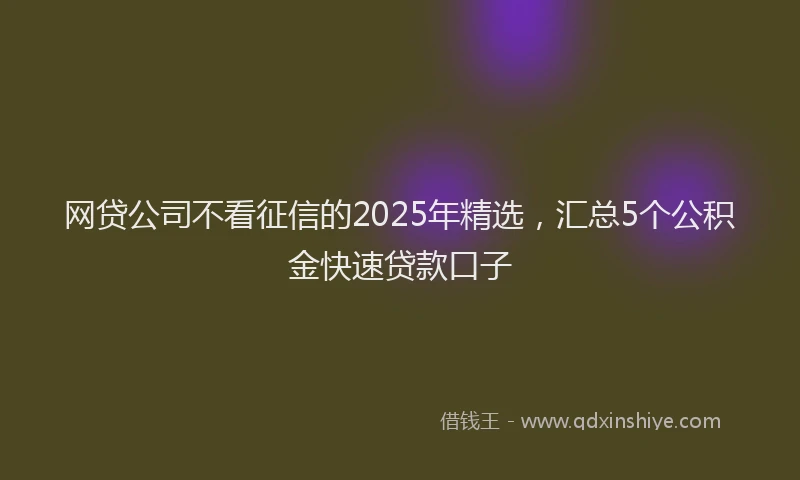 网贷公司不看征信的2025年精选，汇总5个公积金快速贷款口子