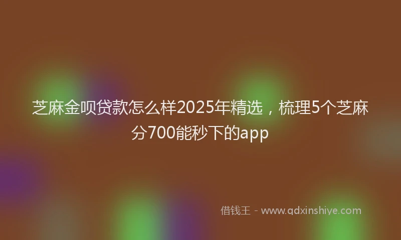芝麻金呗贷款怎么样2025年精选，梳理5个芝麻分700能秒下的app