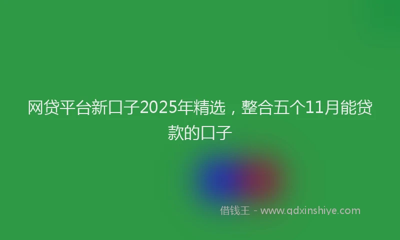 网贷平台新口子2025年精选，整合五个11月能贷款的口子