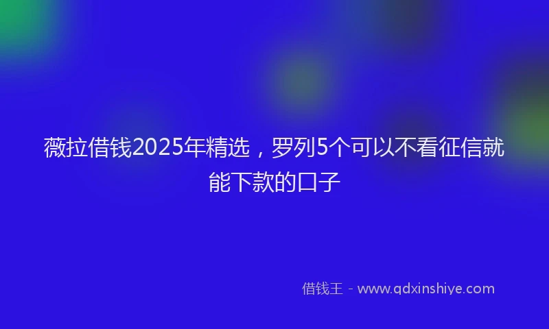 薇拉借钱2025年精选，罗列5个可以不看征信就能下款的口子