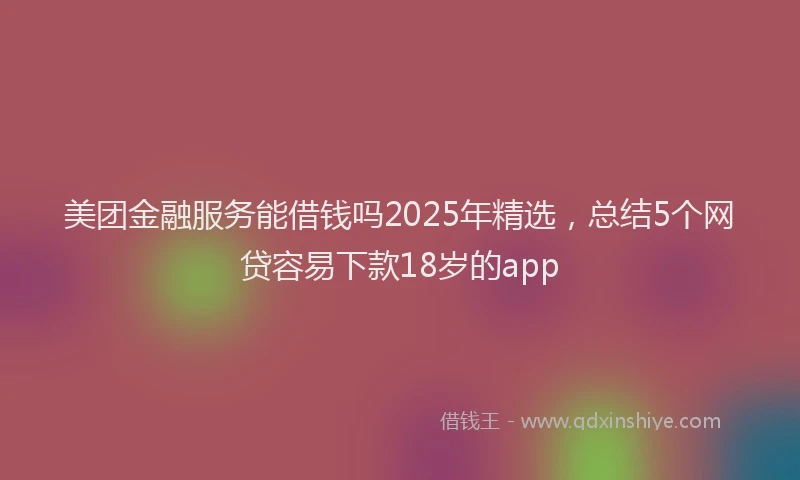 美团金融服务能借钱吗2025年精选，总结5个网贷容易下款18岁的app