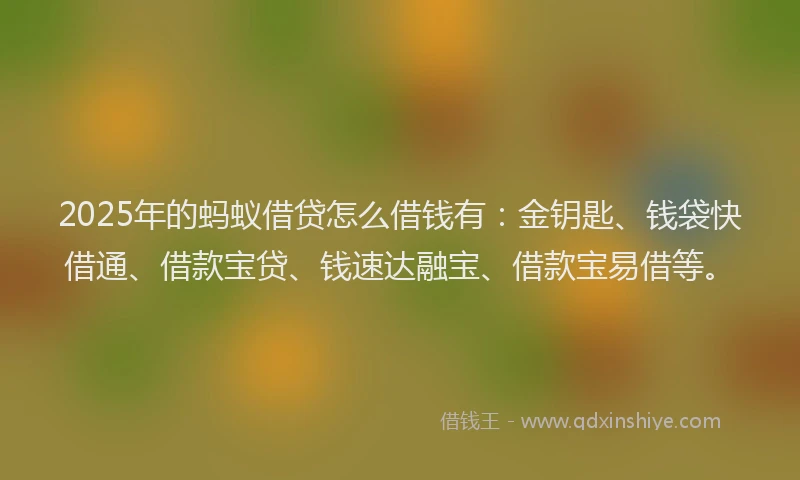 2025年的蚂蚁借贷怎么借钱有：金钥匙、钱袋快借通、借款宝贷、钱速达融宝、借款宝易借等。