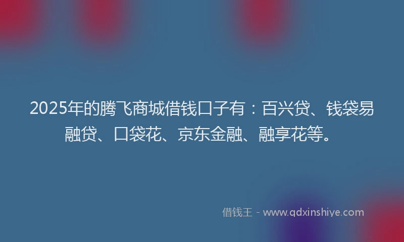 2025年的腾飞商城借钱口子有：百兴贷、钱袋易融贷、口袋花、京东金融、融享花等。
