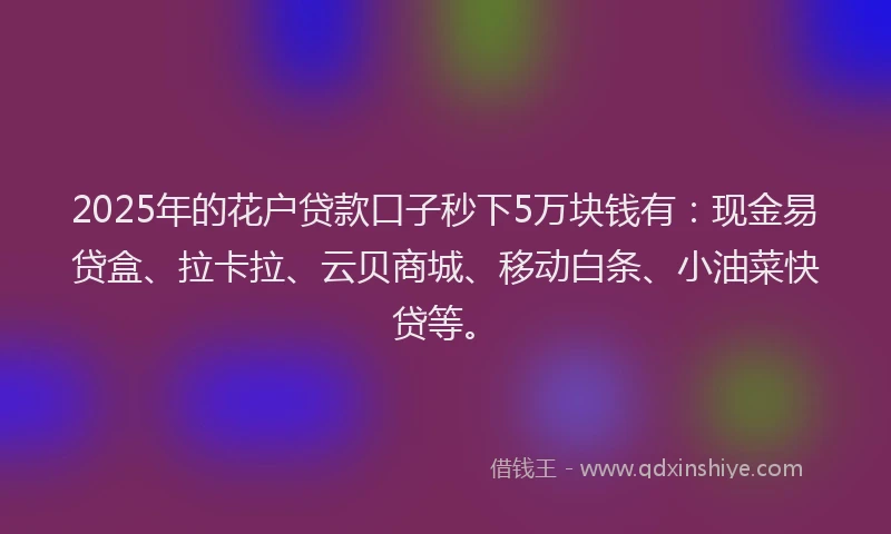 2025年的花户贷款口子秒下5万块钱有：现金易贷盒、拉卡拉、云贝商城、移动白条、小油菜快贷等。