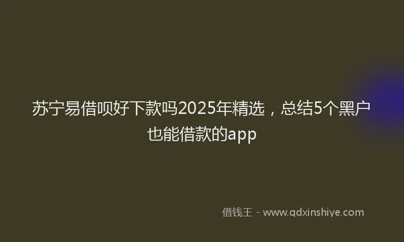 苏宁易借呗好下款吗2025年精选，总结5个黑户也能借款的app