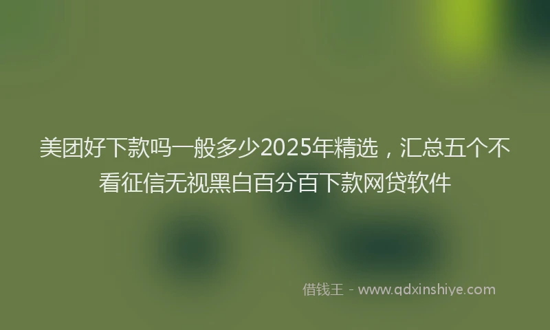 美团好下款吗一般多少2025年精选，汇总五个不看征信无视黑白百分百下款网贷软件