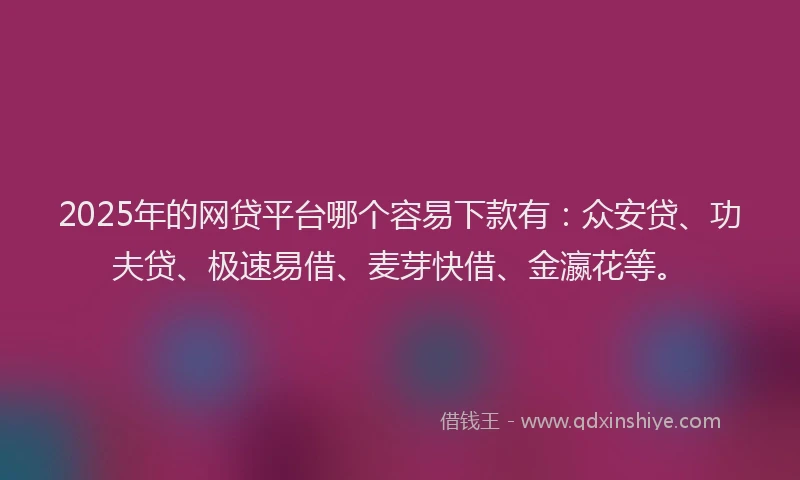 2025年的网贷平台哪个容易下款有：众安贷、功夫贷、极速易借、麦芽快借、金瀛花等。